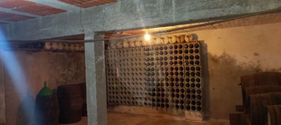 Дом с 4 спальнями в Алваязери, Португалия № 28514 5