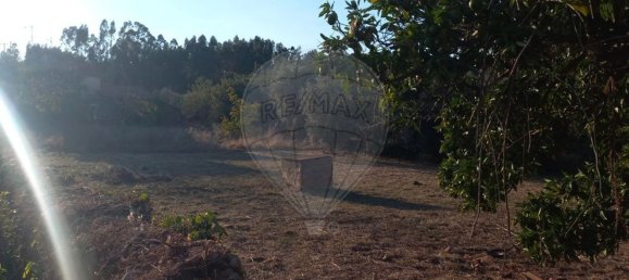 Дом с 4 спальнями в Алваязери, Португалия № 28514 14