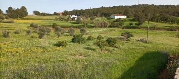 6 bedrooms Villa in Alcanede, Portugal No. 146399 27
