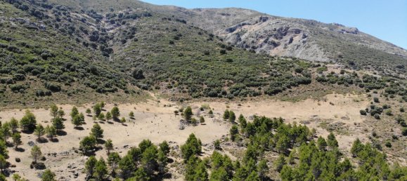  Land in Ronda, Spain No. 20523 16