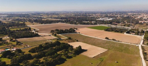 Земельный участок в Палмела, Португалия № 117964 8