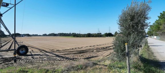 Земельный участок в Палмела, Португалия № 117964 4