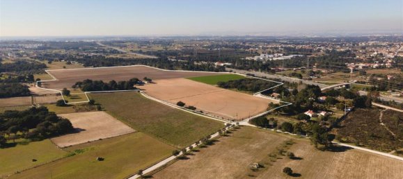 Земельный участок в Палмела, Португалия № 117964 10