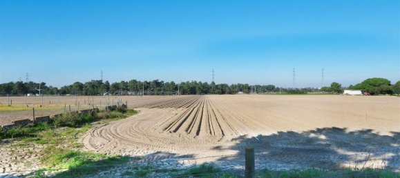 Земельный участок в Палмела, Португалия № 117964 6