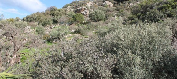 Отель, гостиница 6587м² в Ласитион, Греция № 5207 2