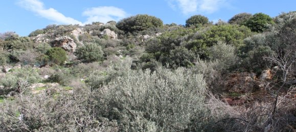 Отель, гостиница 6587м² в Ласитион, Греция № 5207 3