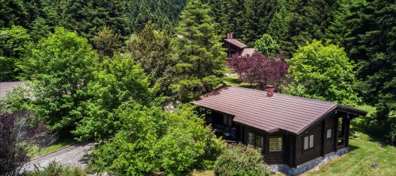 1325m² Property in Arcadia, Greece No. 5897 12