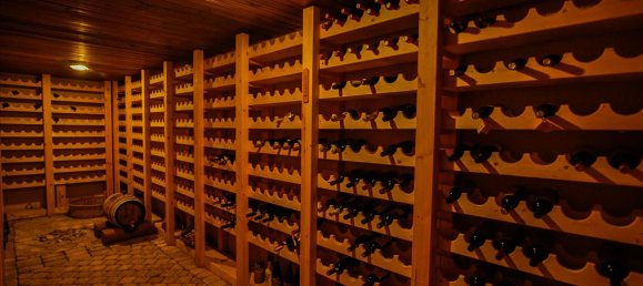 1325m² Property in Arcadia, Greece No. 5897 23