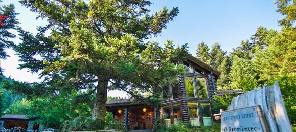 1325m² Property in Arcadia, Greece No. 5897 10