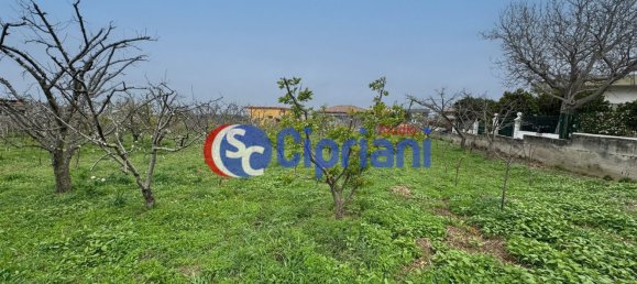 6000m² Land in Giugliano in Campania, Italy No. 108681 3