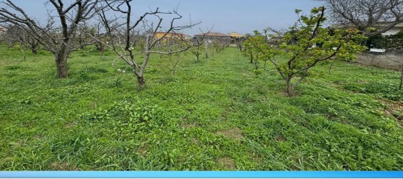6000m² Land in Giugliano in Campania, Italy No. 108681 9