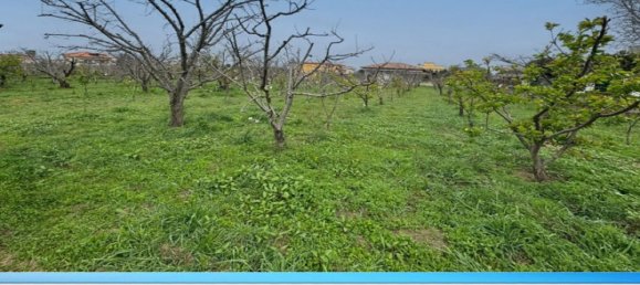 6000m² Land in Giugliano in Campania, Italy No. 108681 8
