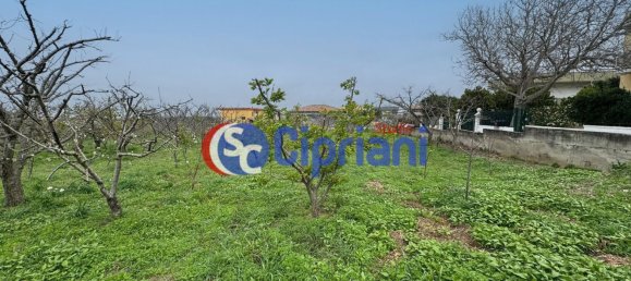 6000m² Land in Giugliano in Campania, Italy No. 108681 2