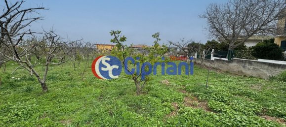 6000m² Land in Giugliano in Campania, Italy No. 108681 4