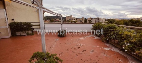 5 rooms Penthouse in Pesaro, Italy No. 38034 15