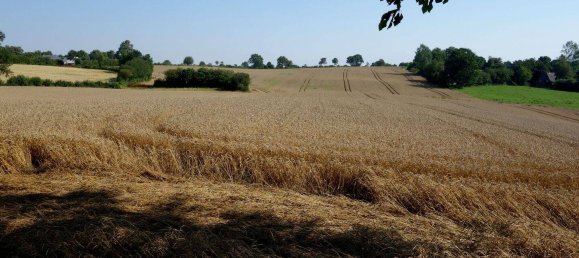 Дом с 5 комнатами в Шлезвиг-Фленсбург, Германия № 295572 10