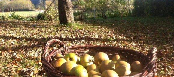 Дом с 5 комнатами в Шлезвиг-Фленсбург, Германия № 295572 6