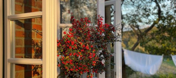 Дом с 5 комнатами в Шлезвиг-Фленсбург, Германия № 295572 13