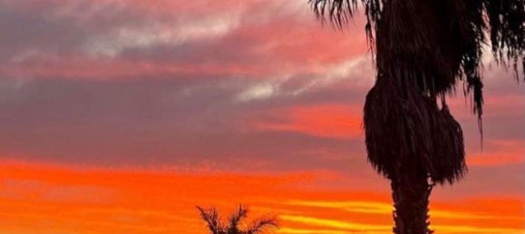 Дом с 4 спальнями в Ла Олива, Испания № 185897 33