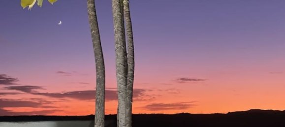 Дом с 4 спальнями в Ла Олива, Испания № 185897 20