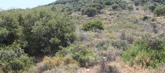 فندق في Hersonissos, Greece 9137متر مربع رقم 4850 3