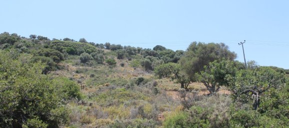 فندق في Hersonissos, Greece 9137متر مربع رقم 4850 5