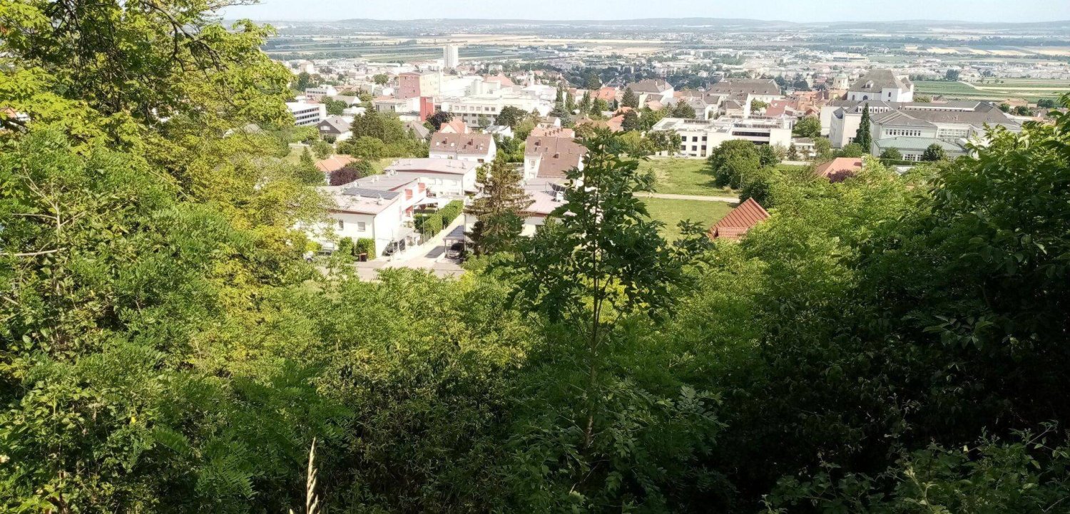 1802m² Land in Eisenstadt, Austria No. 28271