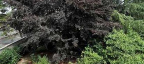 Вилла с 6 спальнями в Альбьяте, Италия № 279129 10