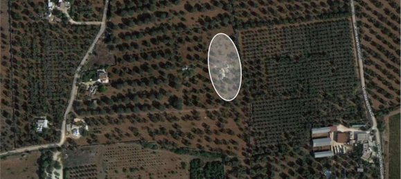 2 rooms House in Francavilla Fontana, Italy No. 259737 10