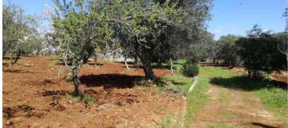 2 rooms House in Francavilla Fontana, Italy No. 259737 5