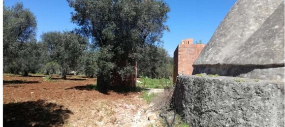 2 rooms House in Francavilla Fontana, Italy No. 259737 3