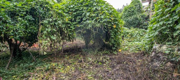 3 غرف نوم منزل في Tondela, Portugal رقم 24441 12