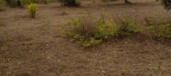 2400m² Land in Saint-Saturnin-les-Apt, France No. 328274 2