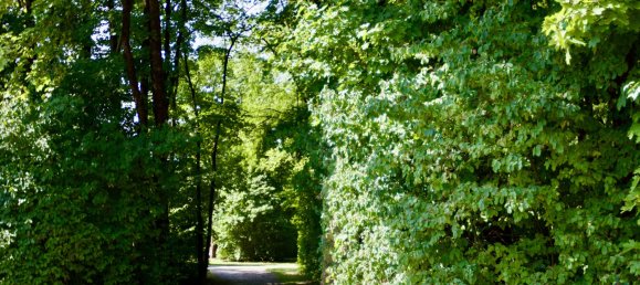 Квартира с 1 спальней в Мюнхен, Германия № 272799 23