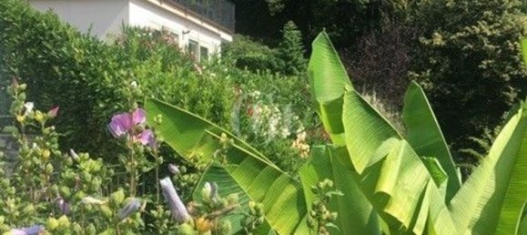 8 rooms Villa in Dizzasco, Italy No. 58314 10