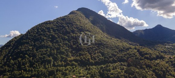 8 rooms Villa in Dizzasco, Italy No. 58314 24