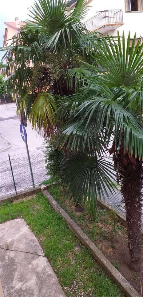 5-Zimmer Wohnung in Venice, Italy, Nr. 168131