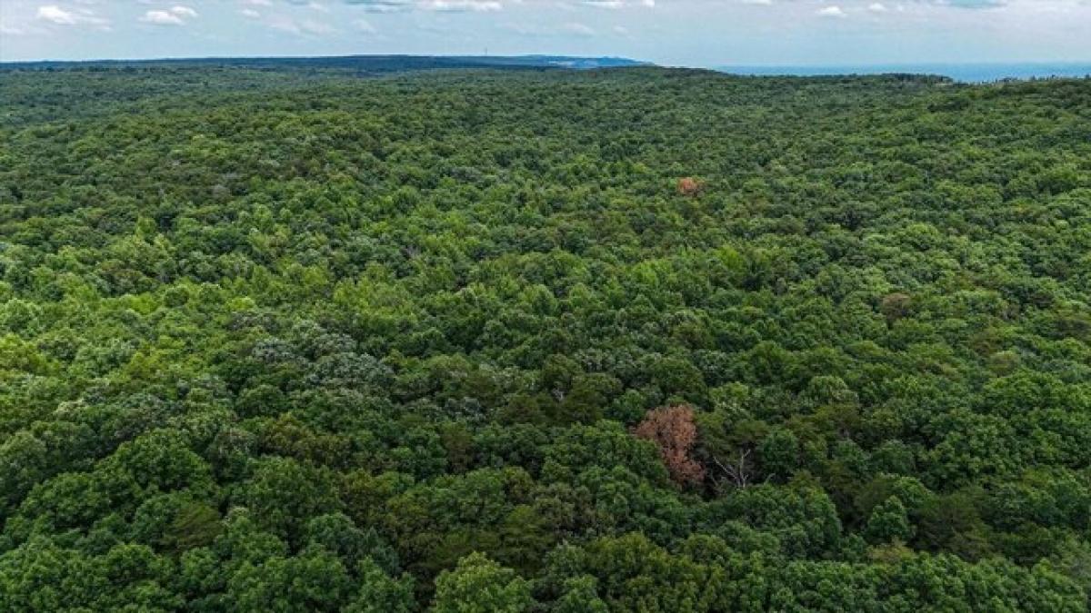  Land in Menlo, USA No. 497081