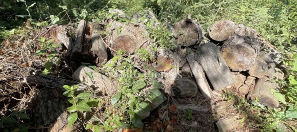 قطعة أرض في Nimes, France رقم 100670 2