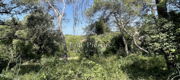 قطعة أرض في Nimes, France رقم 100670 3