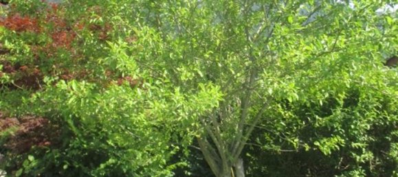 7-salle Maison de ville à Rosenheim, Germany No. 149810 4