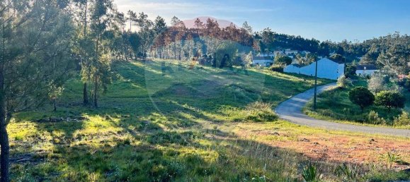 3 Schlafzimmer Haus in Vila de Rei, Portugal, Nr. 176413 9