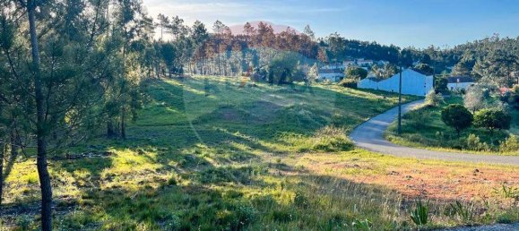 3 Schlafzimmer Haus in Vila de Rei, Portugal, Nr. 176413 10