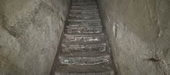 334m² Building in Pisa, Italy No. 111523 16