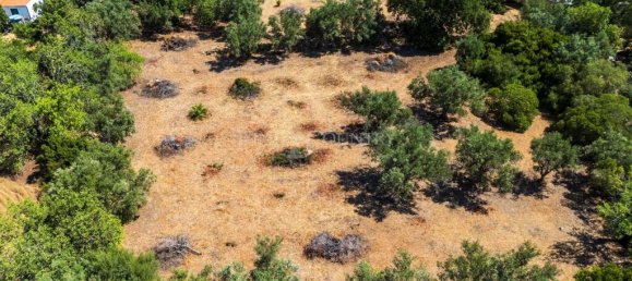 4449m² Land in Faro, Portugal No. 315991 5