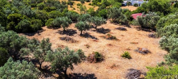 4449m² Land in Faro, Portugal No. 315991 11