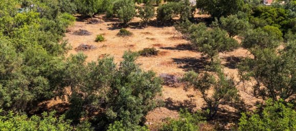 4449m² Land in Faro, Portugal No. 315991 6