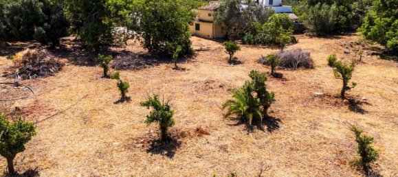 4449m² Land in Faro, Portugal No. 315991 7