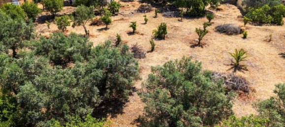 4449m² Land in Faro, Portugal No. 315991 9