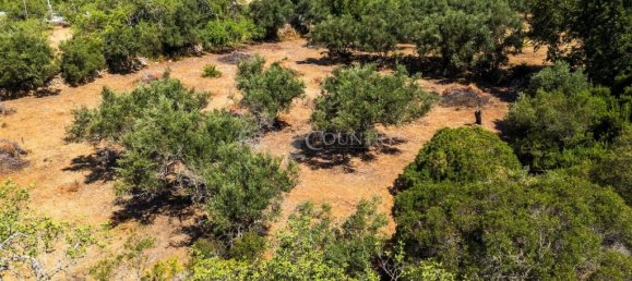 4449m² Land in Faro, Portugal No. 315991 3